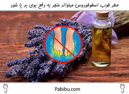 اسطوخودوس عطری قوی دارد که مانع از ایجاد بوی بد در پا می شود