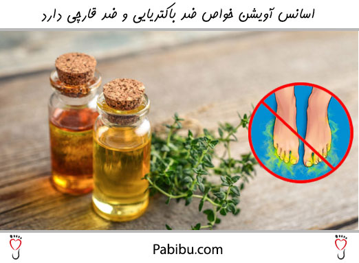 استفاده از اسانس آویشن در دفع بوی بد پا بسیار موثر است